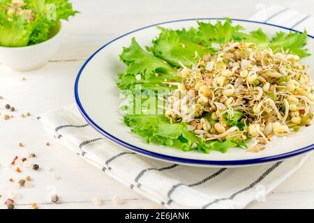 Mix aus gekeimtem Flachs, Erbsen, Mungbohne, Sonnenblume, Weizen, Linsen Seedson ein Teller auf weißem Hintergrund. Vegan, Rohkost. Stockfoto