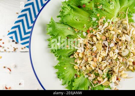 Draufsicht auf veganen gesunden Salat aus Erbsen mikrogrünen Sprossen und gespießenen Bohnen auf Holzhintergrund. Stockfoto