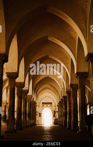 Innenbogen der shaat gombuj Masjid AKA Sixty Dome Moschee Oder Shait Gambuj Moschee oder Said Gunbad Masjid befindet sich in Bagerhat Khulna Bangladesch Stockfoto