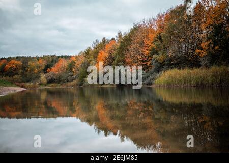 Herbstszene in einem Naturschutzgebiet mit einem Teich und Insel in der Mitte des Sees wunderschöne orange Farben Blätter Fallen im Herbst Wildtiere Reflexionen Stockfoto