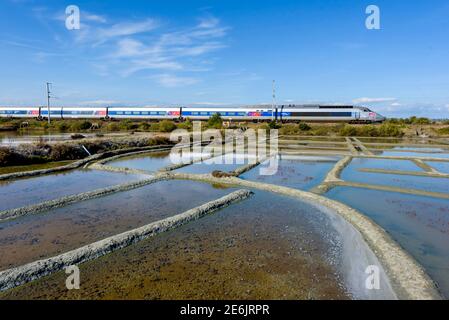 TGV-Zug durch die Salzwiesen von Guérande. Le Croisic . Stockfoto