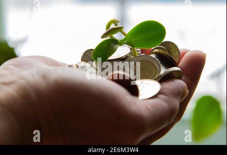 Palme mit Geld und grünem Stiel 2021 Stockfoto