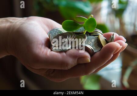 Palme mit Geld und grünem Stiel 2021 Stockfoto