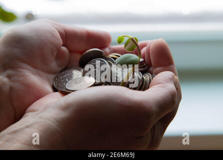 Palme mit Geld und grünem Stiel 2021 Stockfoto