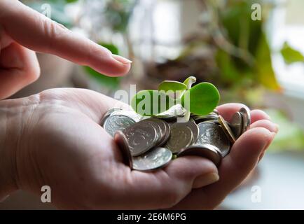 Palme mit Geld und grünem Stiel 2021 Stockfoto