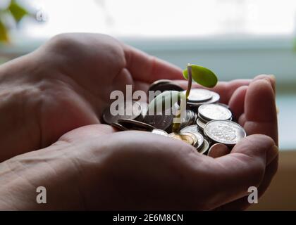 Palme mit Geld und grünem Stiel 2021 Stockfoto