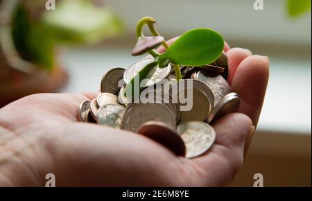 Palme mit Geld und grünem Stiel 2021 Stockfoto