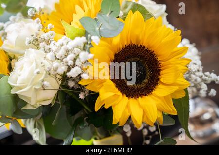 Leuchtend bunte frische gelbe Sonnenblume Hochzeit Blumenstrauß Nahaufnahme mit Wasser Tröpfchen Sommer Blumen schöne Blüte Blume mit weißen Rosen Stockfoto