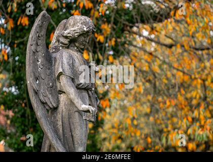 Angel atemberaubende Stein Granit Grabstein in Friedhof Friedhof Skulptur Statue Herbst orange Blätter schöne Landschaft mit Flügeln halten Blume Stockfoto
