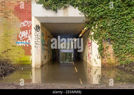 Überflutete dunkle Fußgängerunterführung mit Graffiti und Efeu über den Wänden, Reflexionen des Tunnels im Wasser. Stockfoto