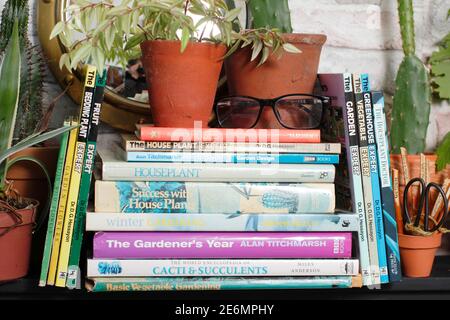 Stapel von Gartenbüchern auf einem Bücherregal mit Zimmerpflanzen und Lesebrillen. VEREINIGTES KÖNIGREICH Stockfoto