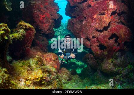 Weibliche Taucherin, die unter Wasser durch eine Korallenschlucht schwimmt. Roatan, Islas de la Bahia, Honduras Stockfoto