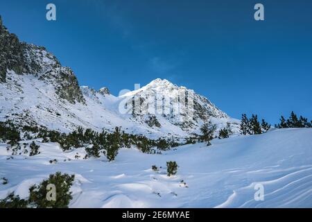 Schöne Winterberglandschaft in der Tatra. Berge in den Wolken. Berge im Winter. Blick auf die Gipfel Stockfoto