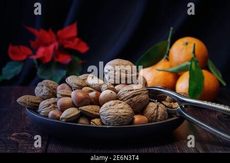 Moody saisonales Stillleben mit gemischten Nüssen, Mandarinen und Poinsettia Pflanze Stockfoto