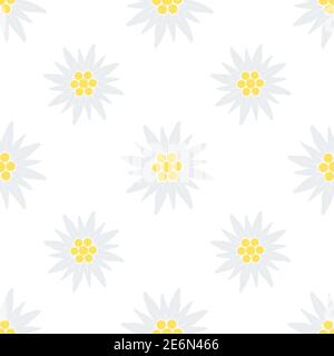 Edelweiss Blume nahtloses Muster. Vektor Blumen Textur Illustration isoliert auf weiß Stock Vektor