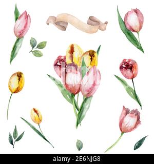 Bouquet Set aus weißen, rosa und gelben Tulpen. Hand Malerei isoliert Blumen Frühling Blumen Illustration Stockfoto