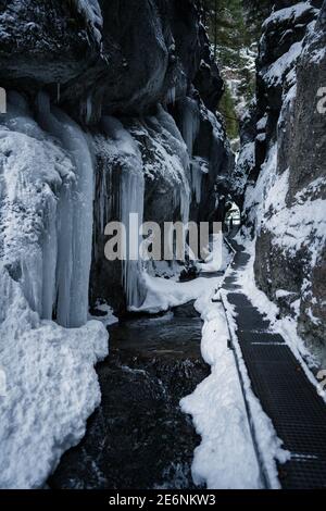 Nahaufnahme von Eiszapfen, die die Felsklippe bedecken. Eishöhle in der Slowakei, Wasserfall im Nationalpark Mala Fatra, Janosikovy Diery. Klippe mit Eiszapfen Stockfoto