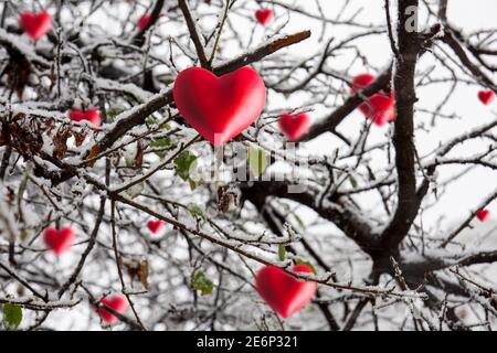 Herzen hängen an einem verschneiten Valentinstag vom Baum. Stockfoto