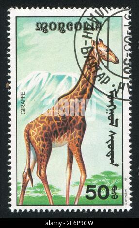 MONGOLEI - UM 1991: Stempel gedruckt von der Mongolei, zeigt eine Giraffe, um 1991 Stockfoto