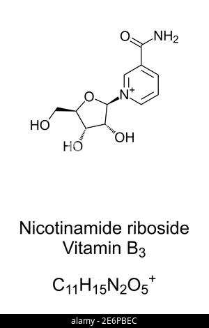 Nicotinamid-Ribosid, NR, chemische Struktur und Skelettformel. SR647, ein Pyridin-Nucleosid ähnlich Vitamin B3. Vitamer von Vitamin B3. Stockfoto