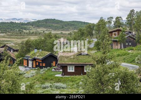 Holzhütten mit moosbedeckten Dächern, eingebettet zwischen den Bäumen, Sträuchern und üppiger Vegetation der Hardangervidda-Landschaft Norwegens Stockfoto