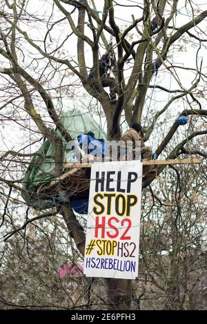 Räumung von Stop HS2 Demonstranten vom Campingplatz in Euston Square Gardens, London, 27. Januar 2021. Protesters Zelt und Banner in einem Baum. Stockfoto