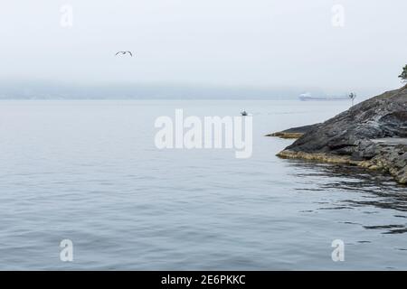 Nebliger Morgenspaziergang an der Küste von Jelsa mit Aussicht Zur nebligen Nordsee am Boknafjord in Norwegen Stockfoto