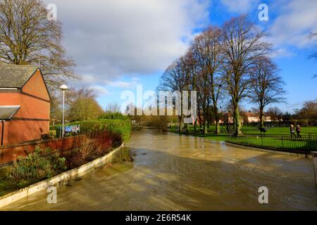 Der Fluss Witham in voller Flut nach Regen und Schnee schmelzen. Grantham Lincolnshire, England Stockfoto