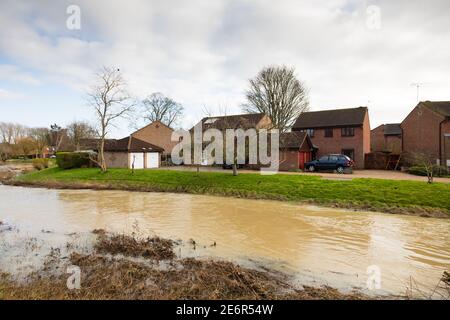 Überschwemmungsgefahr. Wohnhäuser am Ufer des Flusses Witham in voller Flut nach Regen und Schnee schmelzen. Grantham Lincolnshire, England Stockfoto