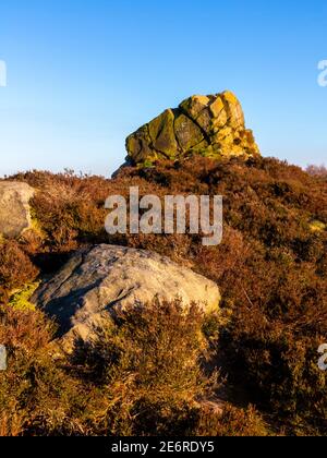 Ashover Rock oder Fabrick ein Felsbrocken und Aussichtspunkt in der Nähe von Ashover im Peak District Derbyshire England mit Heidekraut im Vordergrund. Stockfoto