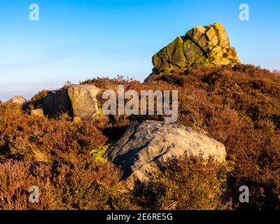 Ashover Rock oder Fabrick ein Felsbrocken und Aussichtspunkt in der Nähe von Ashover im Peak District Derbyshire England mit Heidekraut im Vordergrund. Stockfoto