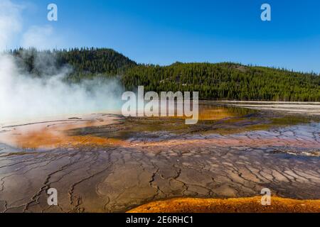 Heiße Quellen sind die häufigsten hydrothermalen Eigenschaften im Yellowstone. Sie variieren von schäumenden Mokka-wie kochendes Wasser bis hin zu klaren und ruhigen Pools. Stockfoto