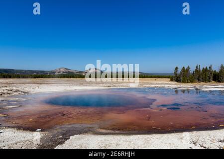 Heiße Quellen sind die häufigsten hydrothermalen Eigenschaften im Yellowstone. Sie variieren von schäumenden Mokka-wie kochendes Wasser bis hin zu klaren und ruhigen Pools. Stockfoto