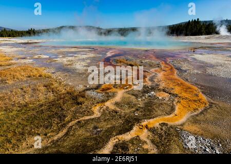 Heiße Quellen sind die häufigsten hydrothermalen Eigenschaften im Yellowstone. Sie variieren von schäumenden Mokka-wie kochendes Wasser bis hin zu klaren und ruhigen Pools. Stockfoto