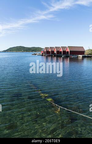 Bunte Bootshäuser am Hafen von Svenevik, Südnorwegen Stockfoto