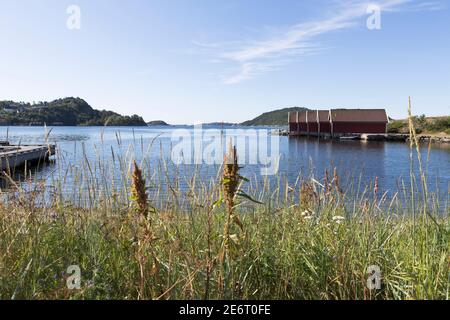 Bunte Bootshäuser am Hafen von Svenevik, Südnorwegen Stockfoto