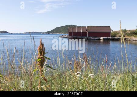 Bunte Bootshäuser am Hafen von Svenevik, Südnorwegen Stockfoto