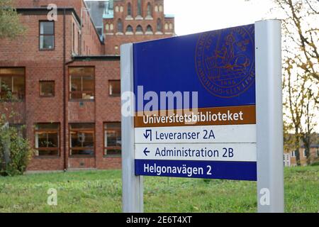 LUND, SCHWEDEN - 28. OKTOBER 2019:Universitätsbibliothek an der Universität Lund. Stockfoto