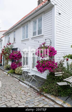 Schöne Häuser mit weißer Verkleidung in einer Gasse der Altstadt von Stavanger, Norwegen Stockfoto