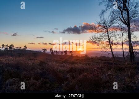 Sonnenuntergang über Blackdown Sussex mit Blick auf die South Downs. Das Ende eines kalten Januarwintertages, der nach Süden, Südwesten schaut. Stockfoto