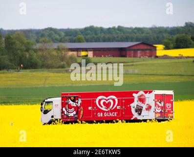 LINKÖPING, SCHWEDEN- 25. MAI 2015:Eiswagen von GB Eiscreme unterwegs durch ein Rapsfeld. Stockfoto