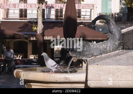 Frankreich, Gard, Aigues Mortes, mittelalterliche Stadt, Fontain in Saint Louis Place Stockfoto