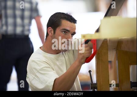 Frankreich, Haute-Garonne, Toulouse, die Begleiter der Tour de France, Veranstaltungen, Olypiaden, regionale Auswahl Stockfoto