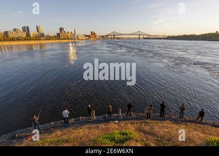 Kanada, Provinz Quebec, Montreal, der alte Hafen, Alt-Montreal, der Fluss Saint-Laurent, die Halbinsel der Cit?-du-Havre, Morgenfischer, in der Ferne, der Uhrenturm und die Jacques-Cartier-Brücke Stockfoto