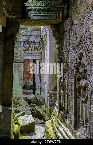 Kambodscha, Angkor auf der UNESCO-Welterbeliste, Preah Khan von Angkor, Kloster, erbaut 1191 von König Jayavarman VII., Apsaras oder Devata Skulpturen Stockfoto