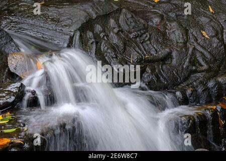 Kambodscha, Angkor auf der UNESCO-Welterbeliste, Kbal Spean, Kbal Pean ein Überfluss des Flusses Siem Reap, Skulptur von Lord Vishnu Stockfoto