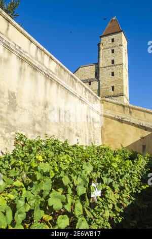 Frankreich, Gers, auch, befindet sich auf der GR 653, Weg von Arles oder Via Tolosana in Richtung Santiago de Compostela, 14. Jahrhundert Armagnac Turm Stockfoto