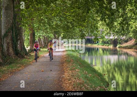 Frankreich, Tarn-et-Garonne, Malause, Radtour entlang des Garonne-Kanals auf der Via Podiensis, einer der Pilgerwege nach Santiago de Compostela oder GR 65 Stockfoto