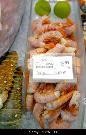 Eaton Street Fish Market in Key West, Florida, FL USA. Südlichster Punkt in den kontinentalen USA. Insel Urlaubsziel für entspannten Tourismus. Stockfoto