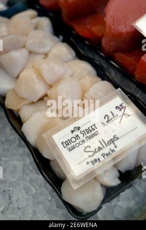 Eaton Street Fish Market in Key West, Florida, FL USA. Südlichster Punkt in den kontinentalen USA. Insel Urlaubsziel für entspannten Tourismus. Stockfoto